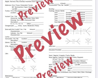Maternal Newborn Assessment Sheet - DIGITAL