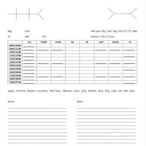 Nursing Report and Vitals Sheet image 1