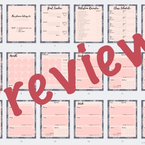 Nursing School Planner - Pink