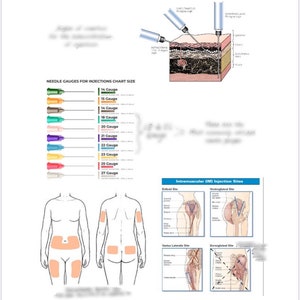 Pharmacology Medication Administration Study Guide image 7