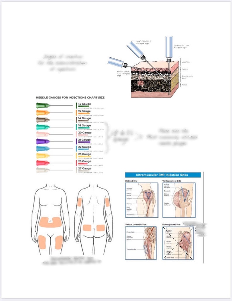 Pharmacology Medication Administration Study Guide image 7