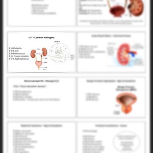 May include: A diagram of the urinary tract with a close-up of bacteria. The diagram shows the kidneys, ureters, bladder, and urethra. The text on the diagram reads "UTI - Common Pathogens" and lists the following bacteria: Klebsiella, E. Coli, Enterococcus, Proteus mirabilis, and S. Saphrophyticus.