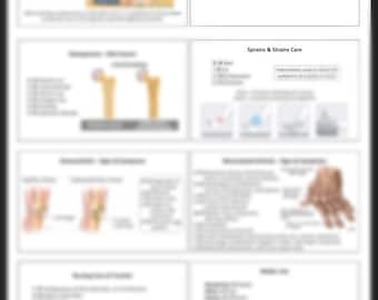 Puede incluir: Un diagrama que ilustra los pasos a seguir al cuidar una torcedura o un tirón. El diagrama incluye el acrónimo RICE, que significa Reposo, Hielo, Compresión y Elevación. El diagrama también incluye una descripción de las intervenciones utilizadas para aliviar los síntomas de una torcedura o un tirón.