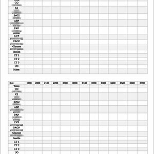 Hemodynamic Nursing Flow Sheet image 2