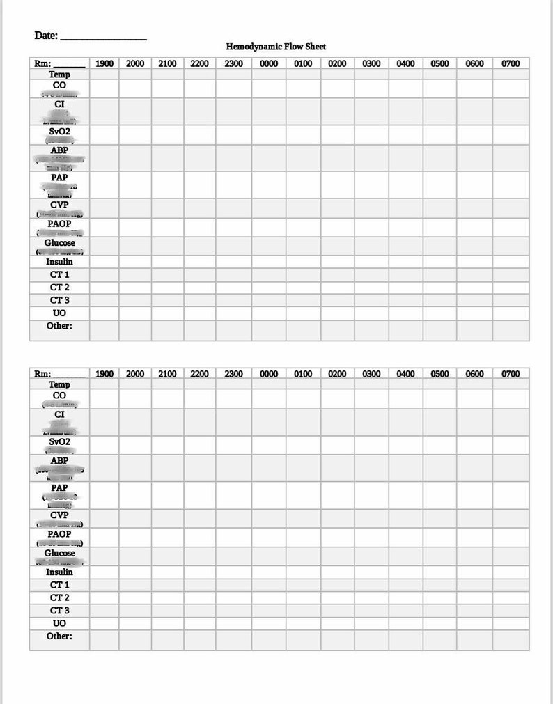 Hemodynamic Nursing Flow Sheet image 2