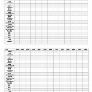May include: A blank Hemodynamic Flow Sheet form with columns for time intervals from 0700 to 1900 and rows for vital signs like temperature, cardiac output, cardiac index, and oxygen saturation.