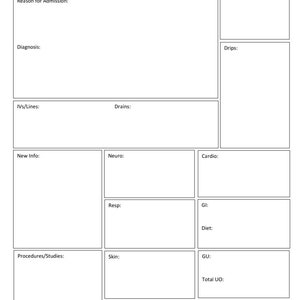 Nursing Report and Vitals Sheet image 2