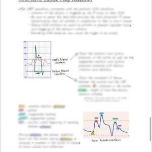 Hemodynamic Study Guide Part 1 Physical image 5