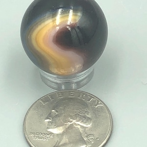 Könnte beinhalten: Eine Glasmurmel mit einem Wirbelmuster aus Schwarz, Gelb und Braun. Die Murmel steht auf einem transparenten Ständer neben einer Münze. Die Münze hat einen Durchmesser von etwa 2,5 cm.