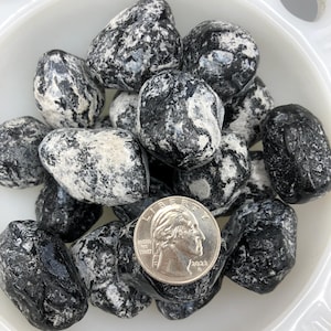 May include: A collection of tumbled black and white stones, with a quarter coin for size comparison, are displayed in a white, scalloped-edge bowl. The stones have a speckled pattern and a polished appearance. The coin shows the profile of a person and the year 2022.