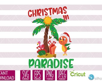 Download The Orange Bird Svg Etsy