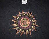 Vintage Alice In Chains 1994 T Shirt by Anvil Size Large