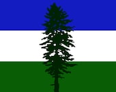 Articolo da questo negozio