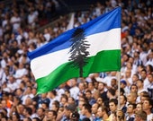 Articolo da questo negozio