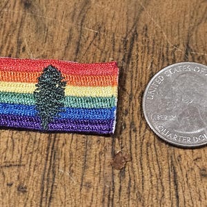 May include: A small rainbow pride flag with a black silhouette of a pine tree in the center. The flag is about the size of a US quarter.