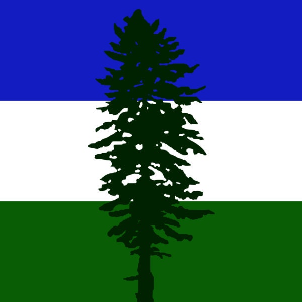 Cascadia Doug Flag 2x3' NYLON