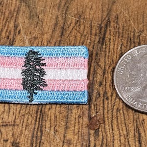 Op de afbeelding: Een klein geborduurd patch met een transgender pride-vlag met een gestileerde groenblijvende boom in het midden. Het patch is ongeveer zo groot als een Nederlandse 2 euro munt.