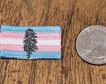 MICRO Trans Pride Iron On Patches