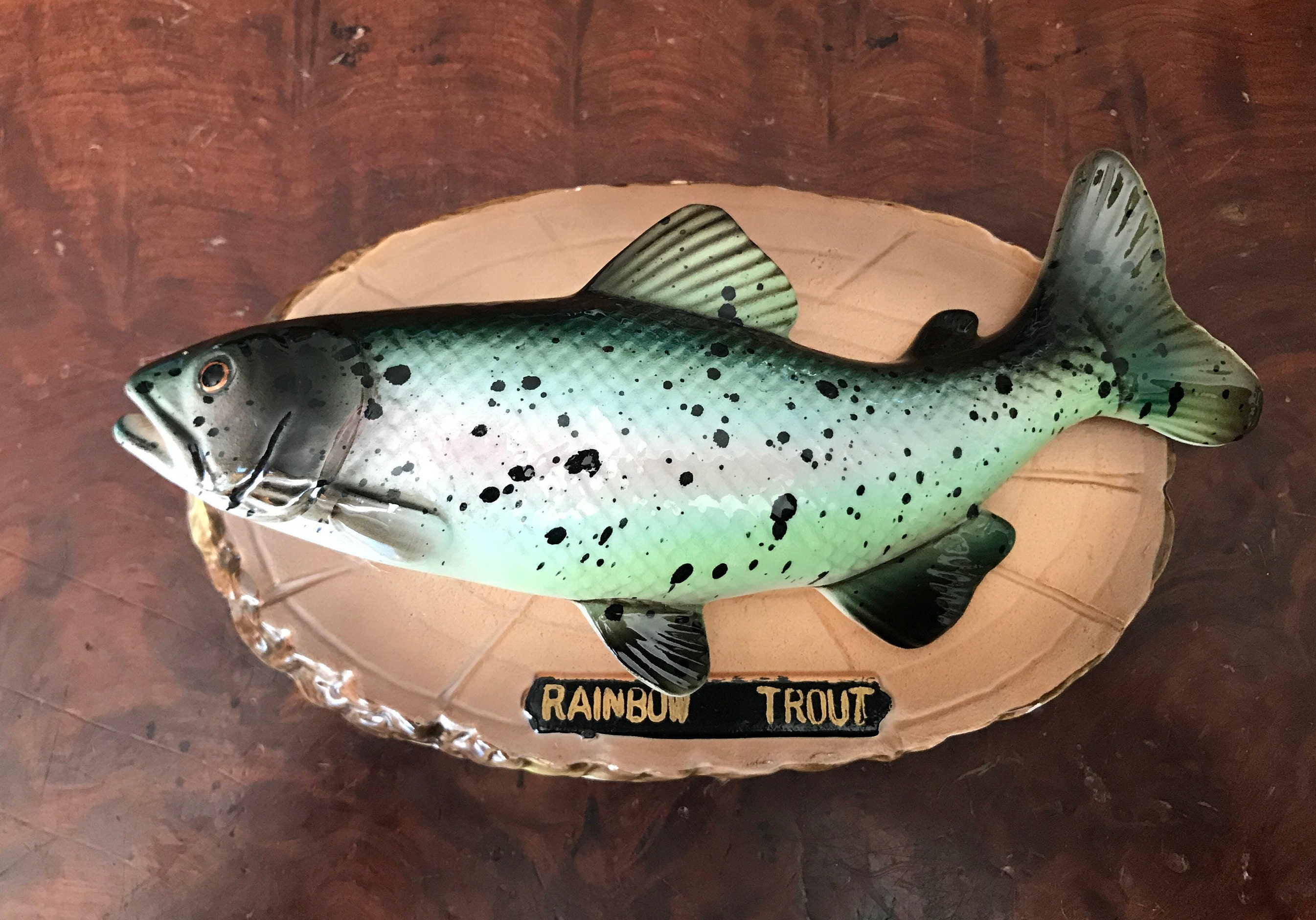 Fish Art Wall Decor Rainbow Trout For Him Gone Fishing Etsy