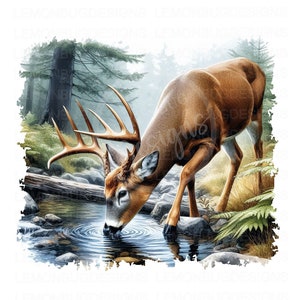 May include: A brown and white deer with large antlers drinks from a clear stream in a forest setting. The deer is standing in the water with its head bent down to drink. The water is clear and reflects the surrounding trees. The deer's antlers are large and impressive, and its fur is soft and brown.