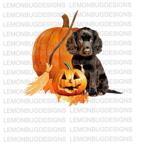 Boykin Spaniel PNG , Autumn PNG, Hunting PNG, Halloween Png, Fall png, Digital Download, digital transfer file, Printable Art