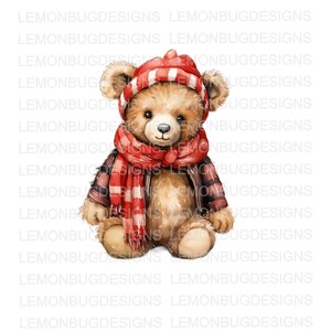 Christmas Bear png, Sublimation PNG, Christmas PNG,  Digital Download, Stuffed Bear png, sublimation,  Printable Art