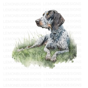 Blue Tick PNG, Hunting PNG, Racoon png, Coon Hunting png, Coon Hunter png, Download digital, sublimação, arte para impressão