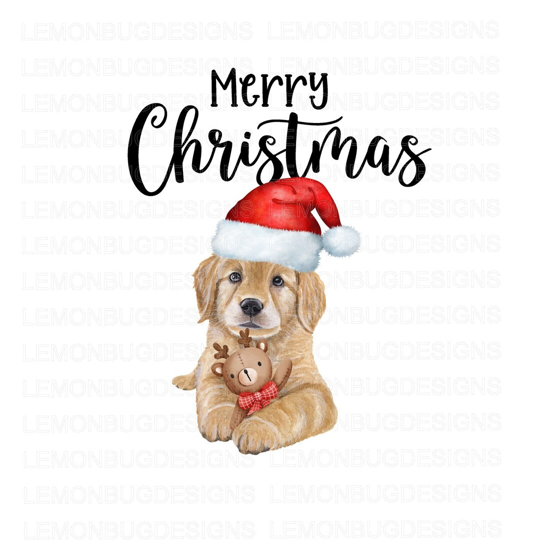 Golden Retriever Christmas PNG: Dog With Santa Hat (digital Download ...