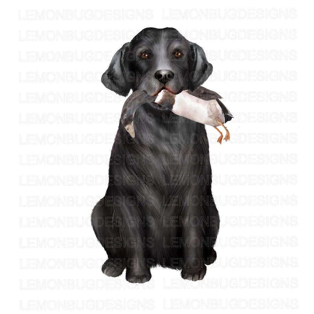 Black Lab PNG , Duck Hunter PNG, Hunting PNG, Digital Download ...
