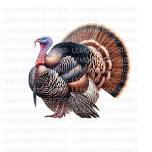 Talking Turkey PNG: Hunting Clip Art (Digital Download)