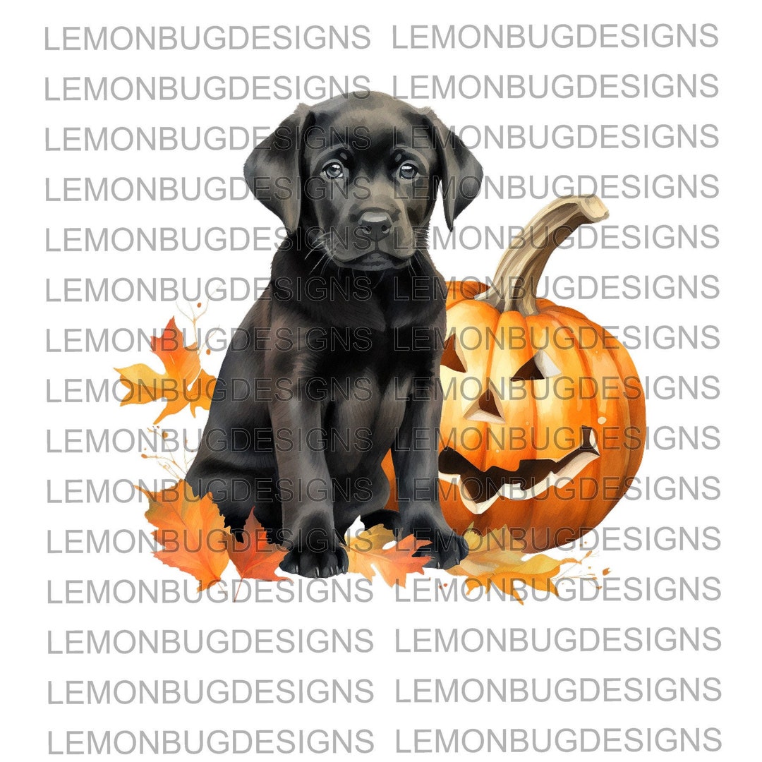 Black Lab PNG , Autumn PNG, Hunting PNG, Halloween Png, Fall Png ...
