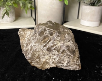 Large Smoky Elestial Cluster