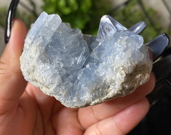 Celestite Cluster