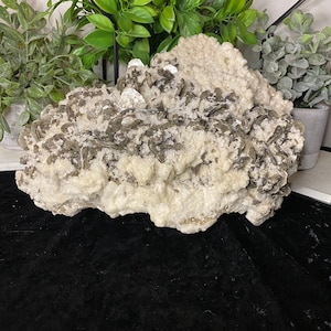 May include: A large, white and gray rock formation with a rough, textured surface. The rock is covered in small, dark gray crystals.