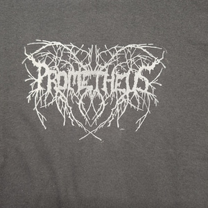 May include: Dark gray crew neck t-shirt with the word "PROMETHEUS" in a white, stylized, and intricate font. The design has a textured, organic appearance, resembling intertwined branches or roots.