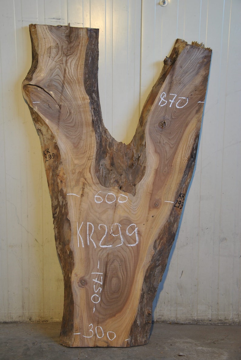 Elm Wood Elm burl Wooden Slab Live Edge Wood Slice Etsy