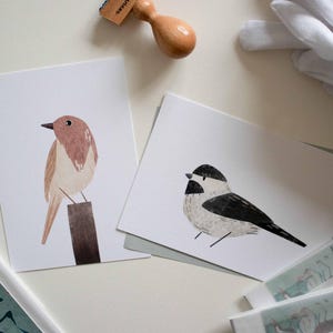 Vogel Set Rotkehlchen und Tannenmeise