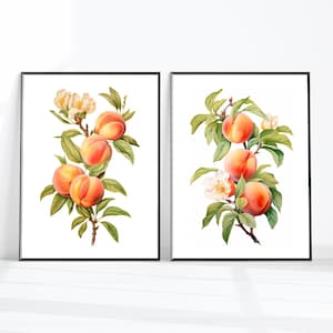 Set of Two Prints Peaches Print Peach with Flowers Wall Art Fruit Print Kitchen Wall Decor Dining Room Prints Country Kitchen Print Peach