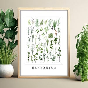 Impresión de herbario Impresión de hierbas mixtas Arte de pared de hierbas botánicas verdes Hojas de hierbas y plantas Decoración de cocina campestre Impresión de baño Arte de hojas Floral