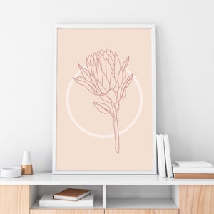 Protea Wall Print Flower Line Art Pink Protea Line Art Australian Native Print Australian Flower Flower Wall Art Botanical Wall Art