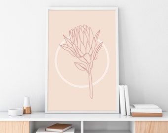 Protea Wall Print Flower Line Art Pink Protea Line Art Australian Native Print Australian Flower Flower Wall Art Botanical Wall Art