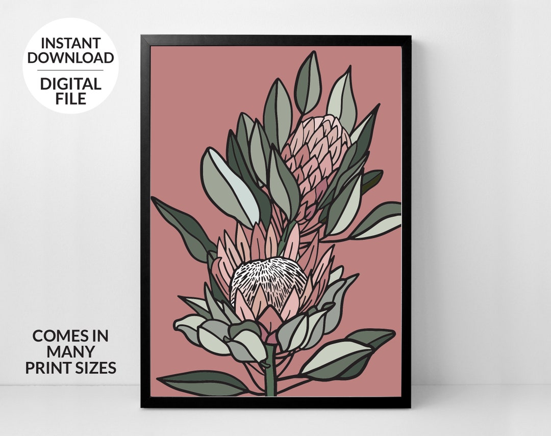 Protea Wall Art Australian Native Flower Art Print Etsy