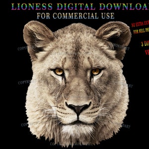 Lioness head for sublimation, female lion design with transparent background, lioness image for commercial use