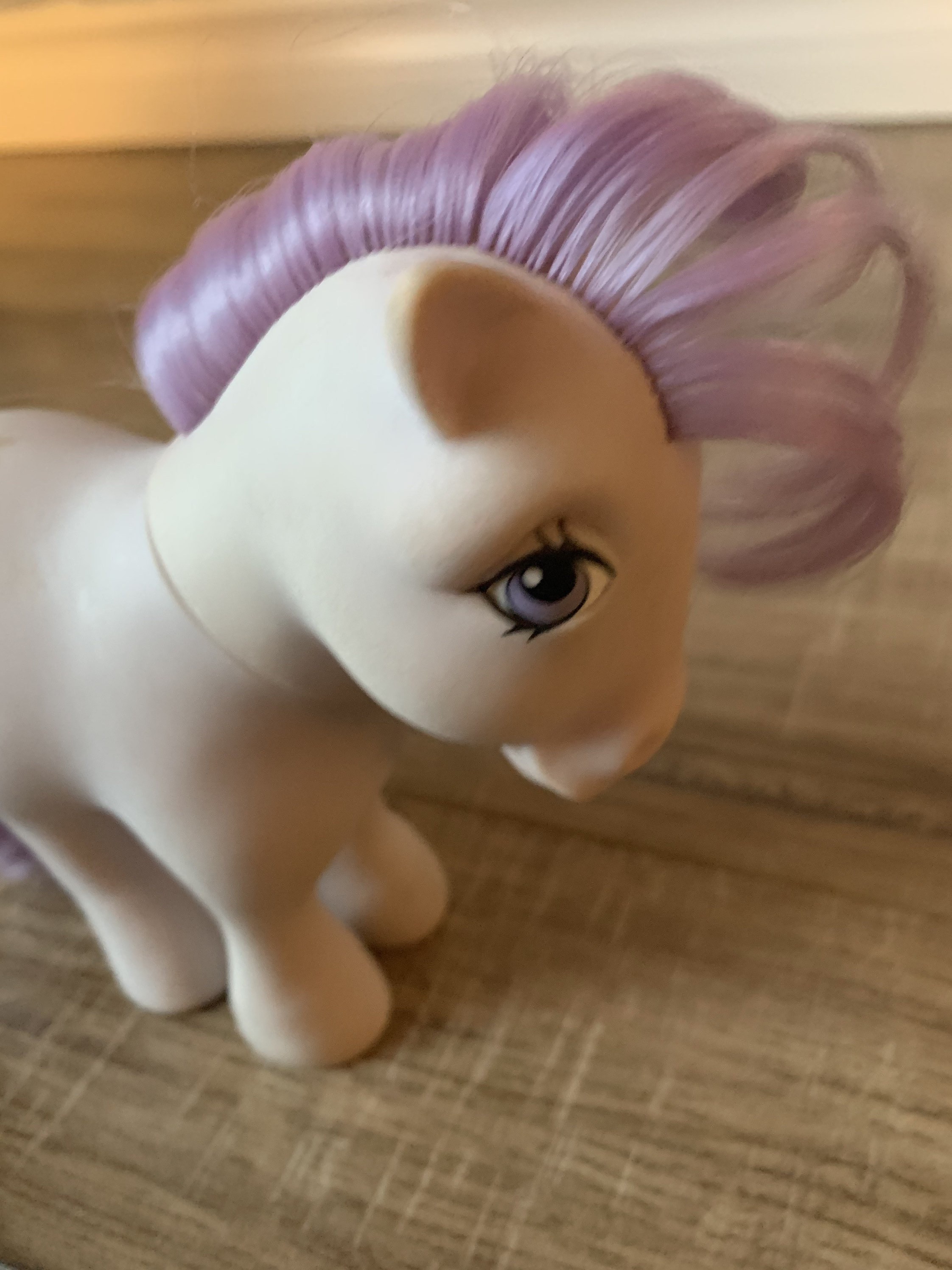 Discover Lily Blossom In My Little Pony - ixzta3w
