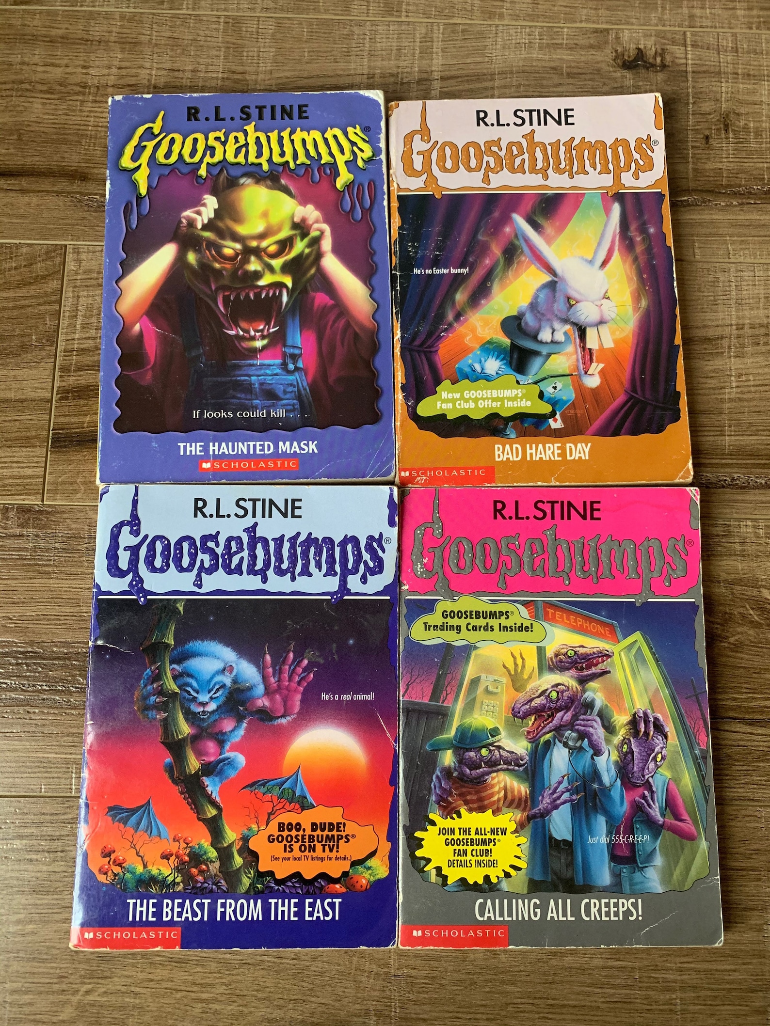Pick Your Own Goosebumps R.L. Stine 90s Goosebumps Book Etsy