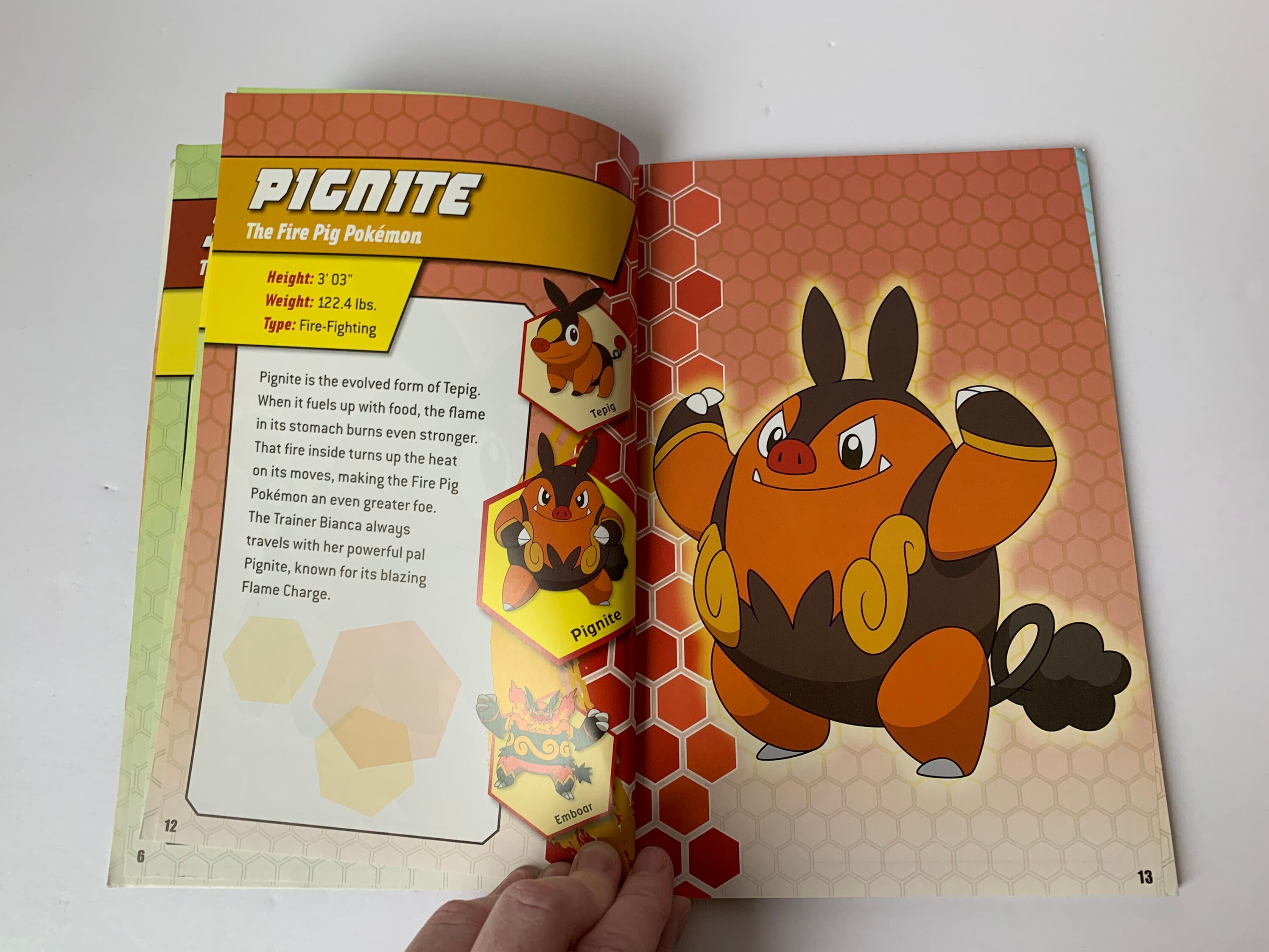 Pokemon Book Now You See It Evolution Guide 12 Scholastic Etsy Denmark