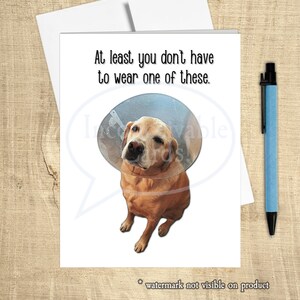 Perro divertido se recupera "No tienes que usar un cono", tarjeta de apoyo al cáncer, tarjeta divertida para recuperarse
