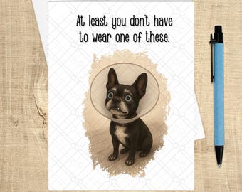 Funny Dog Get Well "You Don't Have to Wear a Cone", Cancer Support Card, Funny Get Well Card