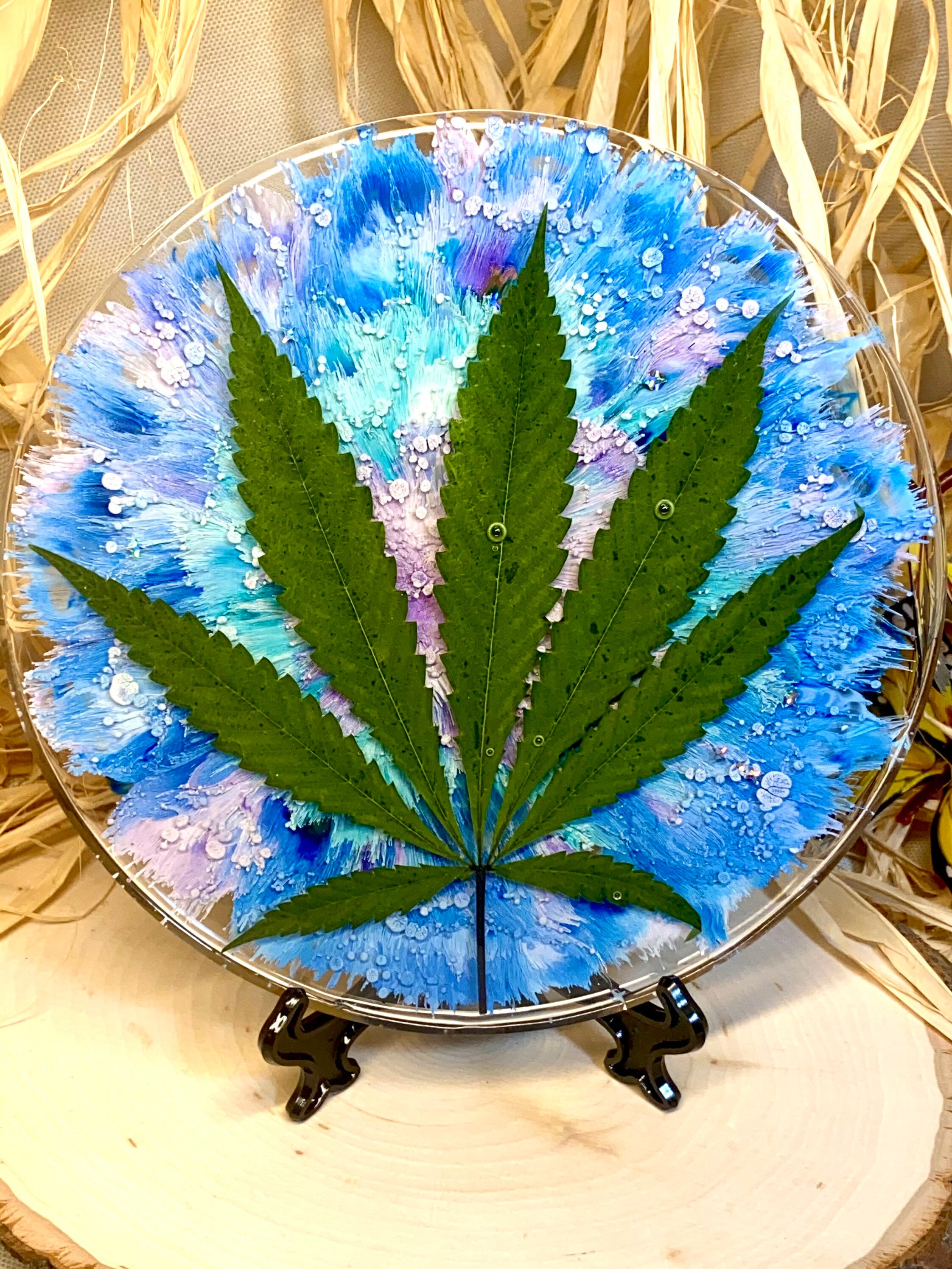 Preserved Marijuana Leaf Home Decor Etsy