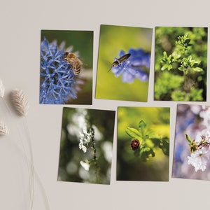 6 Klappkarten mit Naturmotiven im Set mit weißen Briefumschlägen, Din C6, Frühling, Blumen, Blüten, Bienen